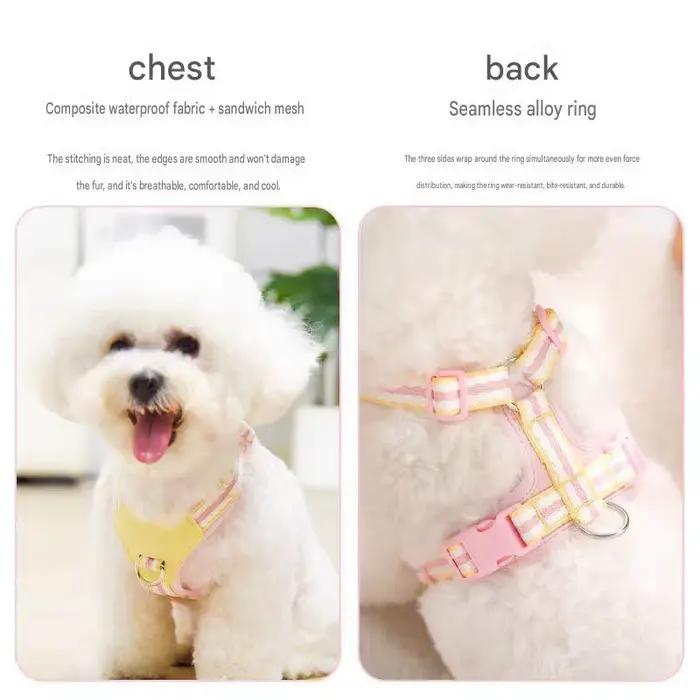 Harnais pour chien/animal de compagnie anti-traction avec collier