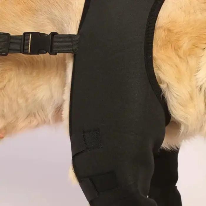 Attelle de soutien des jambes de chien, protection des articulations des hanches et des genoux, prév