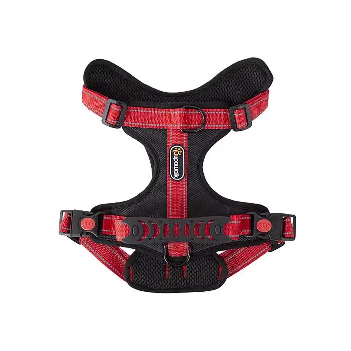 DobSuffolk-Collier de marche Pinscher SFP pour animaux de compagnie, adapté aux chiens moyens et gra