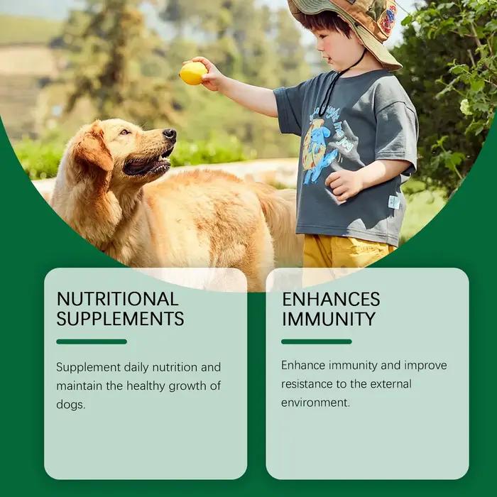 Complément multivitaminé pour chien - Formule douce pour soulager les inconforts cutanés et soutenir la nutrition quotidienne avec des vitamines essentielles