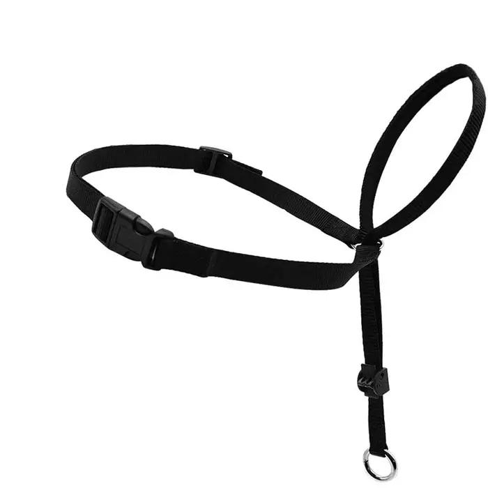 Collier de tête rembourré en Nylon réglable pour chien