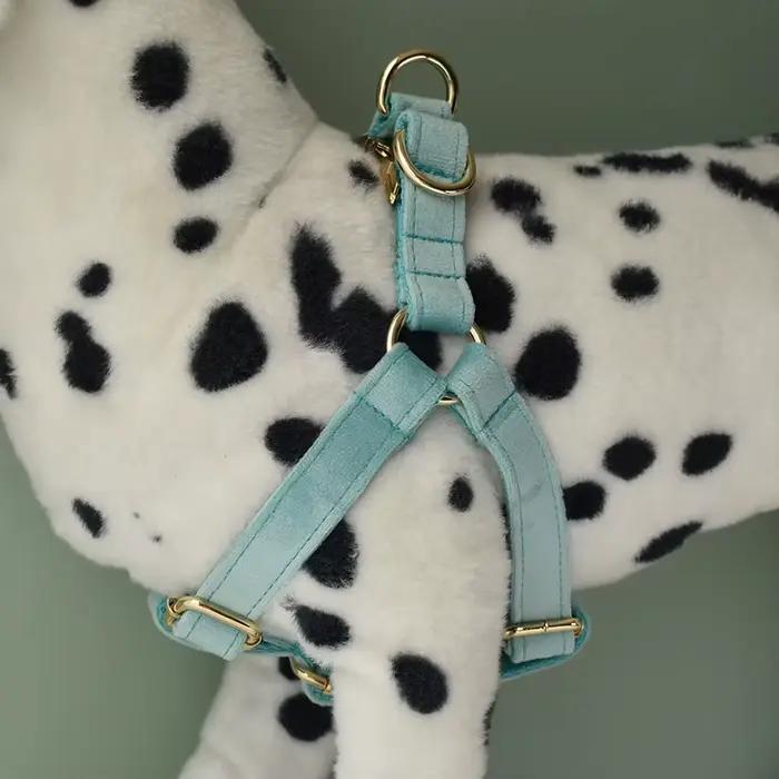 Laisse de collier pour chien