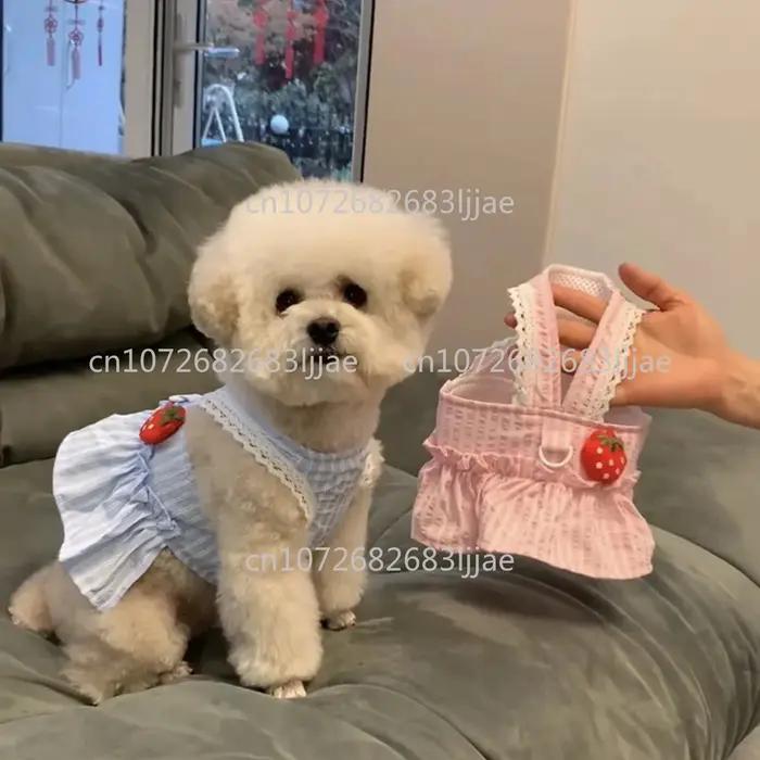 Vêtements pour petits chiens, jupe à laçage pour chiot Bichon, costume pour chien, nouvelle robe d'é