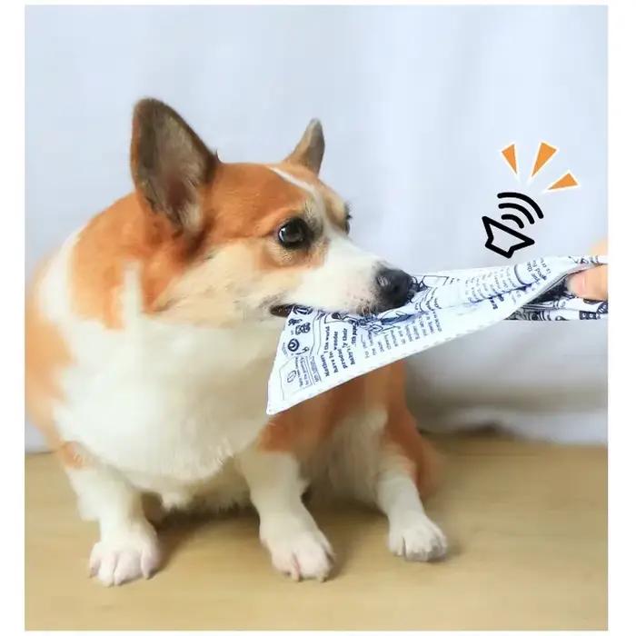 Jouets pour chiens amusants résistants aux morsures