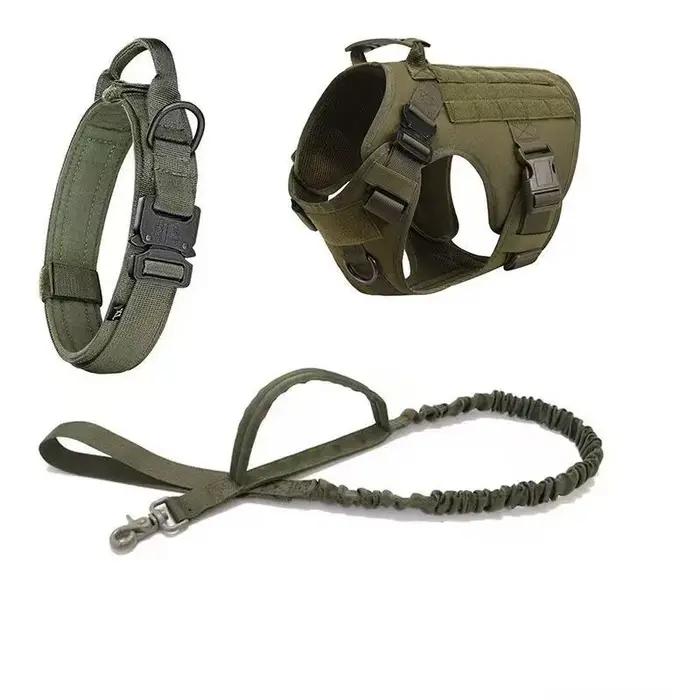 Grand collier de transport pour chien
