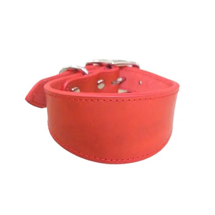 Collier en cuir pour chiens de grande race