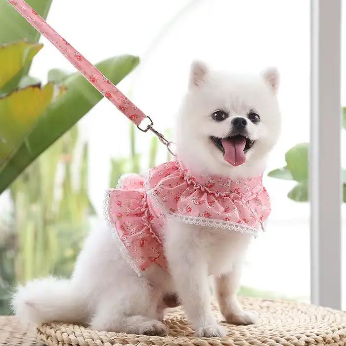 Collier SFP pour animaux de compagnie, petit et moyen chien Chihuahua FN, accessoires aniens, style