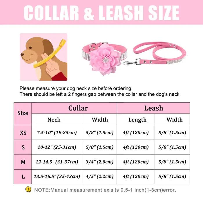 Collier en cuir pour chien avec strass scintillants