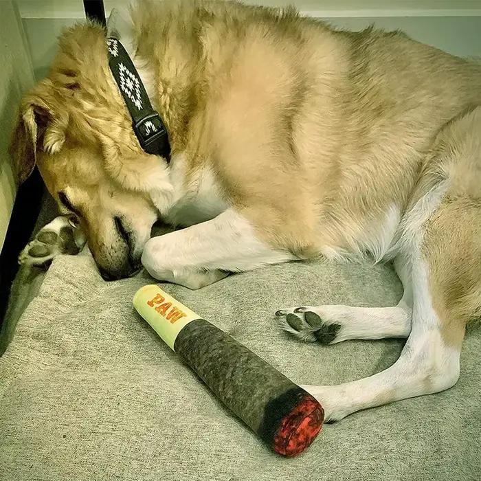 Jouets interactifs amusants pour chiens, conception de cigare, peluche grinçante, grincement des dents, jouet à mâcher créatif pour petits et moyens chiens