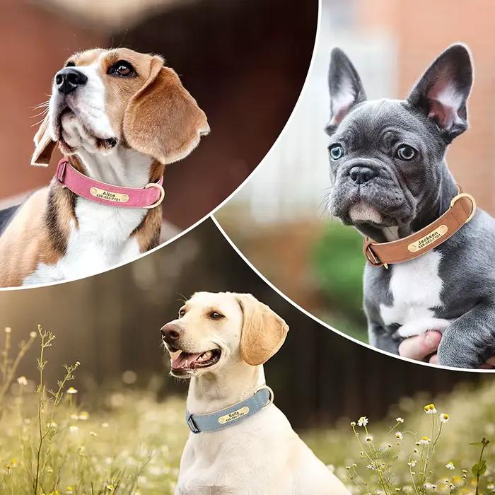 Collier de chien personnalisé en cuir PU gravé